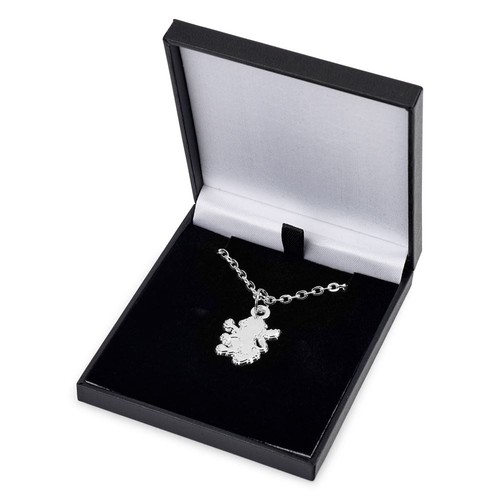 Aston villa silver plated - villa, fc