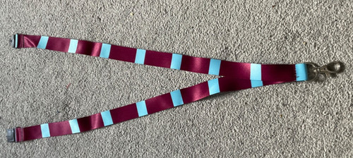Aston villa team coloured - aston,