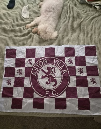 Aston villa football car - aston,