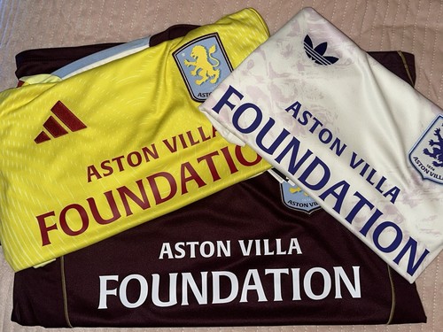 Aston villa foundation - aston,